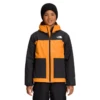 The North Face Freedom Triclimate Jacket - Boys'