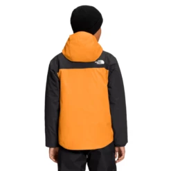 The North Face Freedom Triclimate Jacket - Boys' -Patagonia Shop 1205367 800 auto