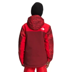 The North Face Freedom Extreme Insulated Jacket - Boys' -Patagonia Shop 1205401 800 auto
